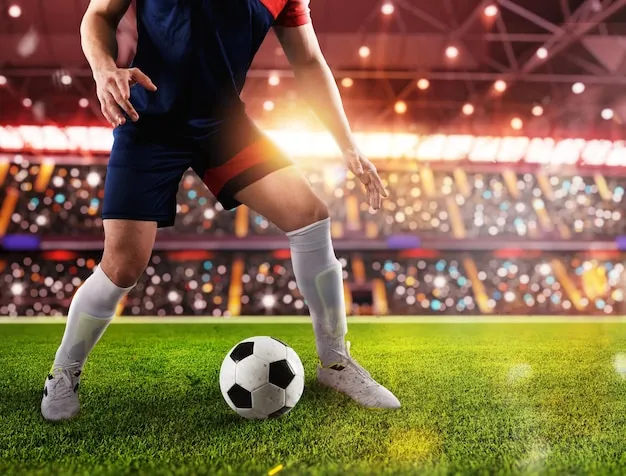 乐鱼体育应用界面展示